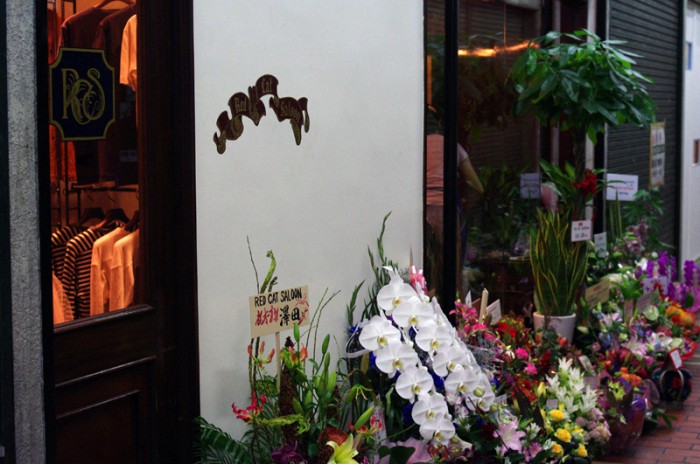 IMGP3094