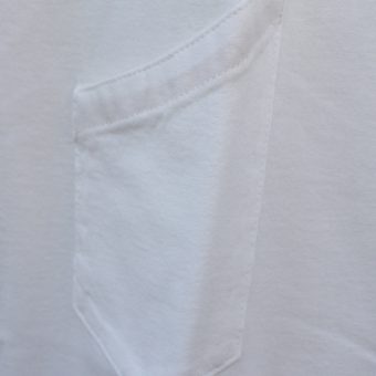 POCKET NO SLEEVE - 2 PACK w/ECCO BAG